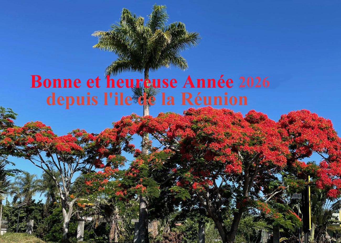 bonne et heureuse année à vous tous